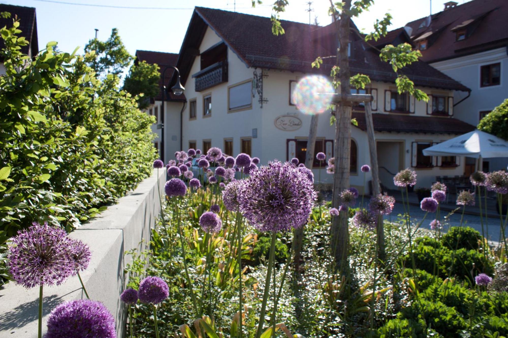 Rot an der Rot Gasthaus Und Pension Zur Linde מראה חיצוני תמונה